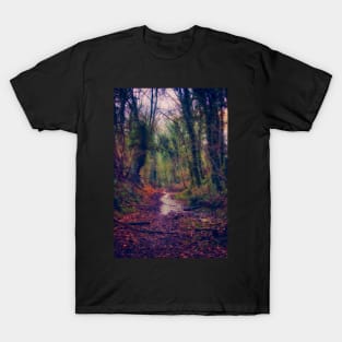 Wet and Wild Woods T-Shirt